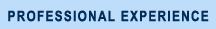 down_professionalExperience